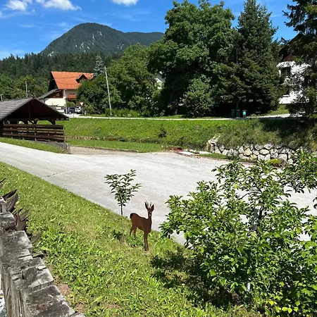 Apartment Hisa Sreco Begunje