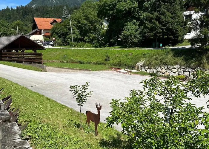 דירה Hisa Sreco בגונג'ה נה גורנג'סקם